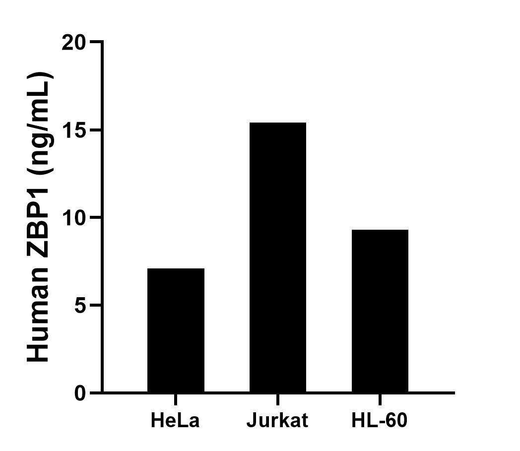 Sample test of MP01267-1